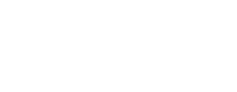 The Sun