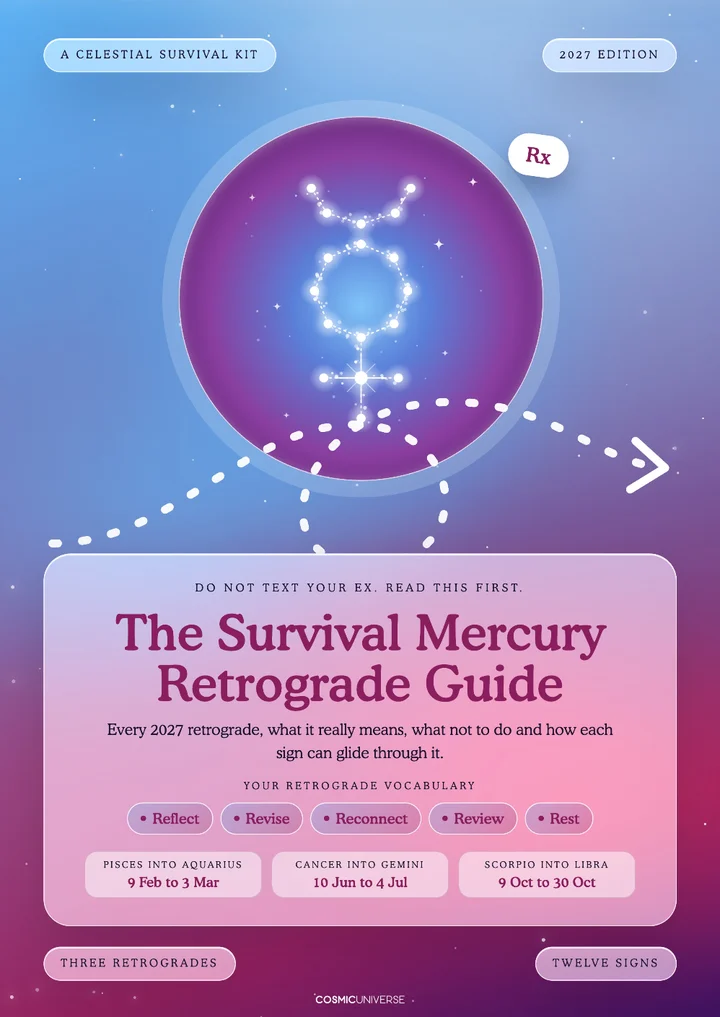 The Survival Mercury Retrograde Guide cover